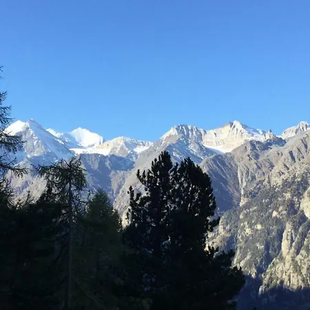Haus Gentiana A Lägenhet